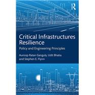 Critical Infrastructures Resilience: Policy and Engineering Principles