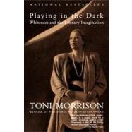 Playing in the Dark : Whiteness and the Literary Imagination