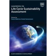 Handbook on Life Cycle Sustainability Assessment