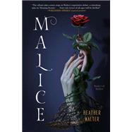 Malice A Novel