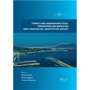 Tunnels and Underground Cities: Engineering and Innovation Meet Archaeology, Architecture and Art: Proceedings of the WTC 2019 ITA-AITES World Tunnel Congress (WTC 2019), May 3-9, 2019, Naples, Italy