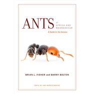 Ants of Africa and Madagascar