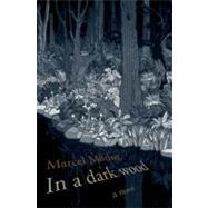 In a Dark Wood : A Novel
