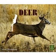 White-tailed Deer 2010 Calendar