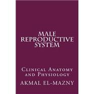 Male Reproductive System