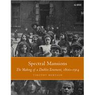 Spectral Mansions The making of a Dublin tenement, 1800–1914