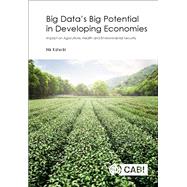 Big Data’s Big Potential in Developing Economies