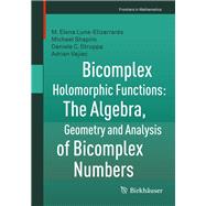 Bicomplex Holomorphic Functions