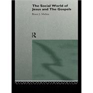 The Social World of Jesus and the Gospels