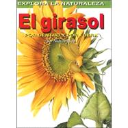 El Girasol/sunflower