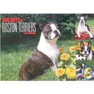 Boston Terriers 365 Days 2006 Calendar
