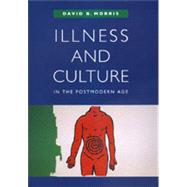 Illness and Culture in the Postmodern Age