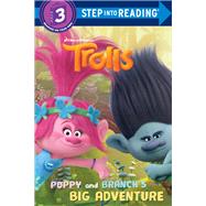Poppy and Branch's Big Adventure (DreamWorks Trolls)