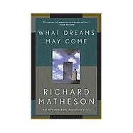 What Dreams May Come A Novel