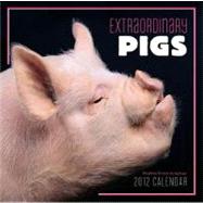 Extraordinary Pigs 2012 Wall Calendar