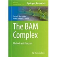 The Bam Complex