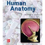 Human Anatomy: 2024 Release