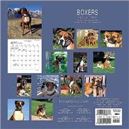 Boxers, 2002 Calendar