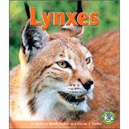 Lynxes