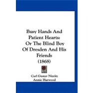 Busy Hands and Patient Hearts : Or the Blind Boy of Dresden and His Friends (1868)