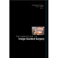 Perspective in Image-Guided Surgery