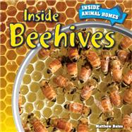 Inside Beehives