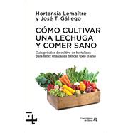 Cómo cultivar una lechuga y comer sano Guía práctica del cultivo de hortalizas para tener ensaladas frescas todo el año