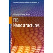 FIB Nanostructures