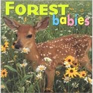 Forest Babies