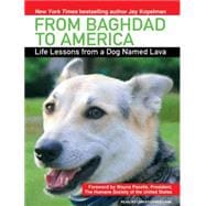 From Baghdad to America