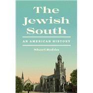 The Jewish South book cover, ISBN 9780691208763