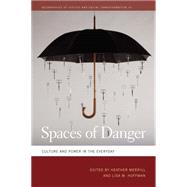 Spaces of Danger,9780820348766