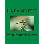 What Dragonfly Knows