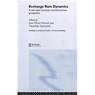 Exchange Rate Dynamics: A New Open Economy Macroeconomics Perspectives