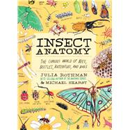 Insect Anatomy The Curious World of Bees, Beetles, Butterflies, and Bugs