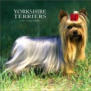 Yorkshire Terriers 2007 Calendar