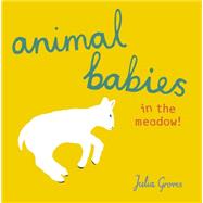 Animal Babies in the Meadow!