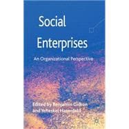 Social Enterprises An Organizational Perspective