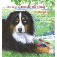 The Tails of Brinkley the Berner: The Beginning