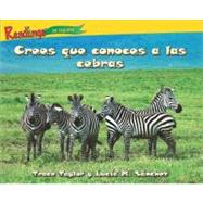 Crees que conoces a las cebras / You Think You Know Zebras
