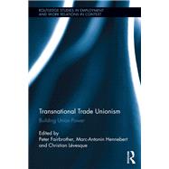 Transnational Trade Unionism: Building Union Power