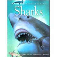 Home Reference Library : Sharks