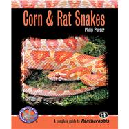 Corn & Rat Snakes