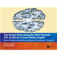 The Human Brain during the Third Trimester 310– to 350–mm Crown-Rump Lengths