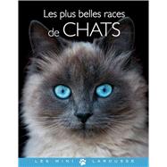 Les plus belles races de chats