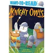 Knight Owls Ready-to-Read Pre-Level 1