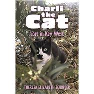 Charli the Cat, Lost in Key West