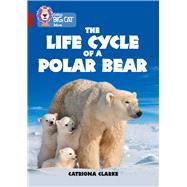 Collins Big Cat – The Life Cycle of a Polar Bear Band 14/Ruby