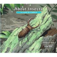About Insects A Guide for Children
