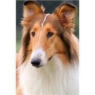 The Collie Dog Journal